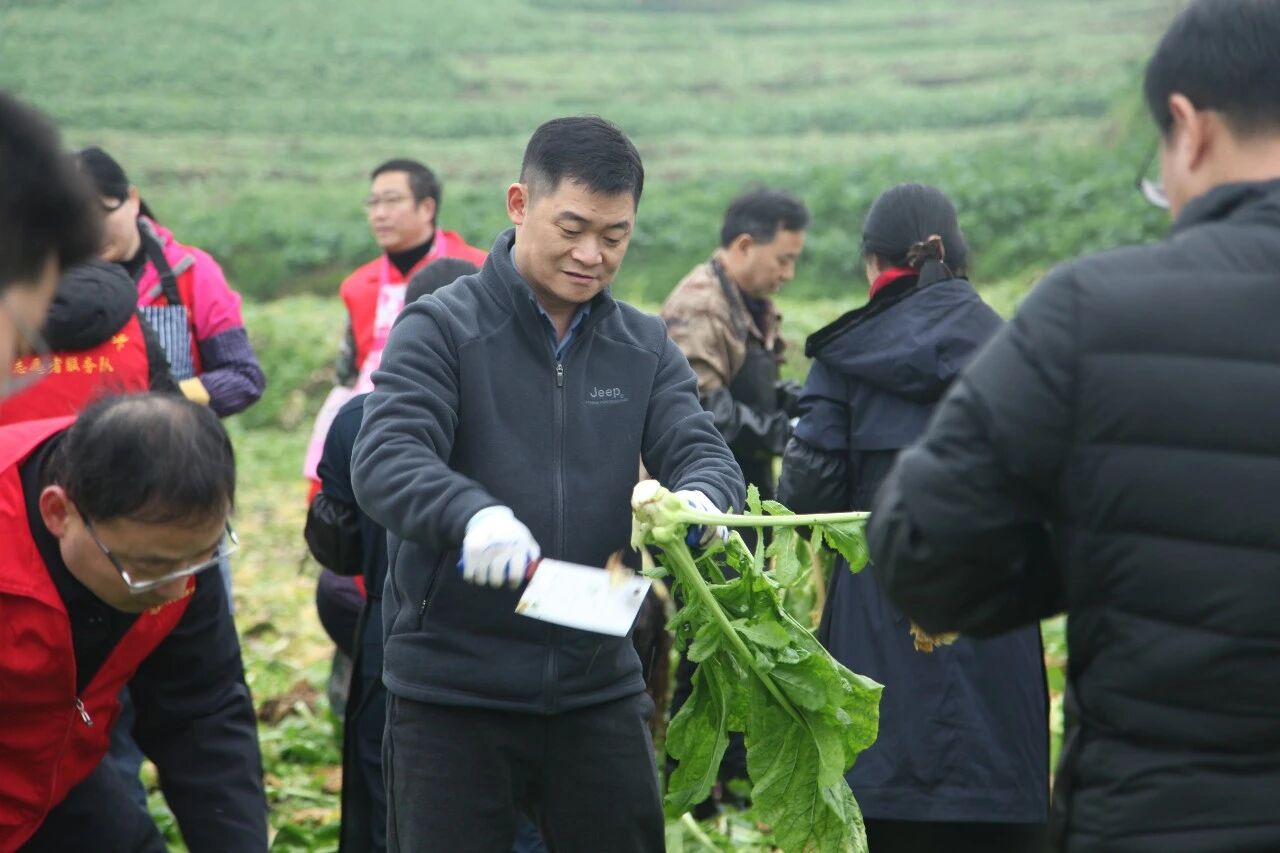 GA黄金甲(中国游)最新官方网站